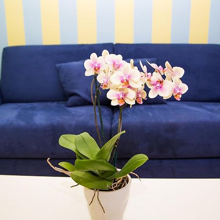 Bed and Breakfast Lemon Flats Сорренто Екстер'єр фото